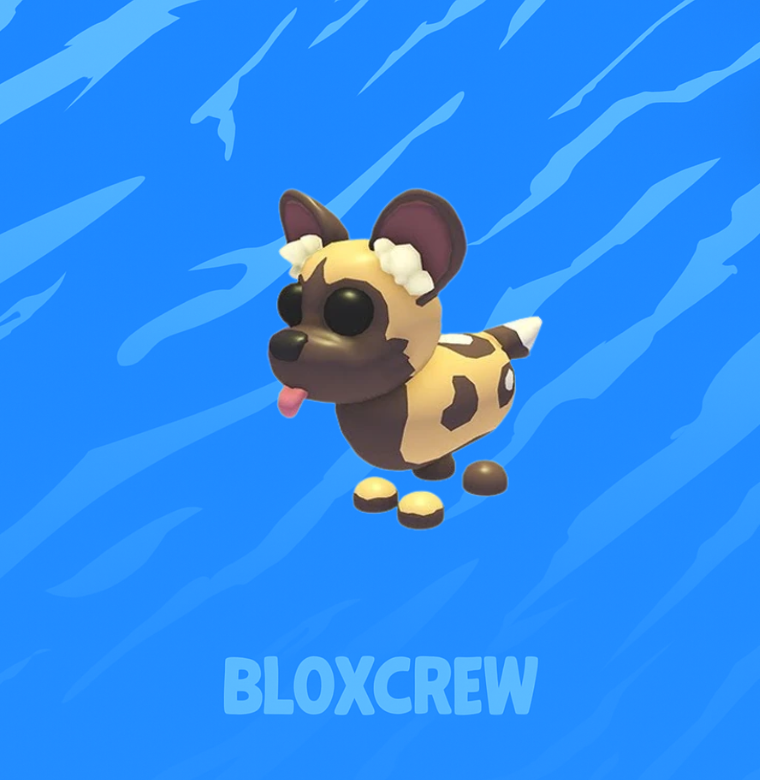 African Wild Dog